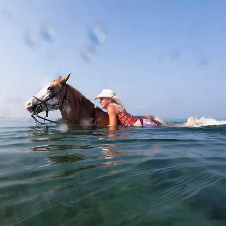 Il Castello Couette-café Posada (Sardinia)