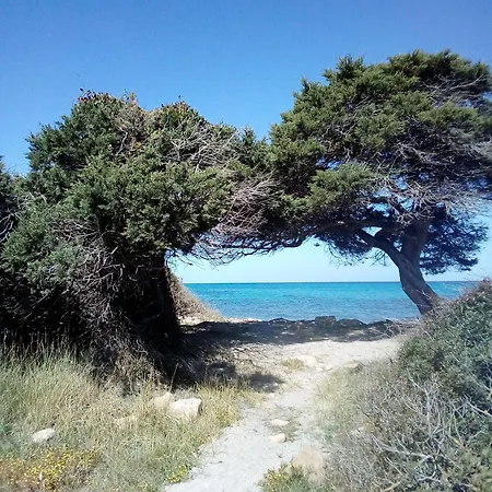 Il Castello 3*